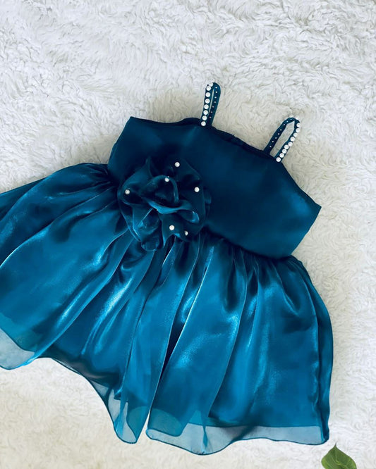 Beautiful Steel Blue Princess Frock with Flower and Beadwork