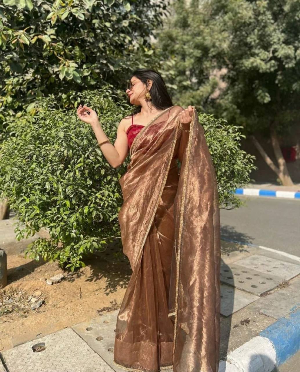 Light Brown Color Organza Silk Saree With Velvet Blouse