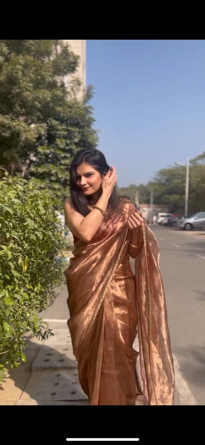 Light Brown Color Organza Silk Saree With Velvet Blouse